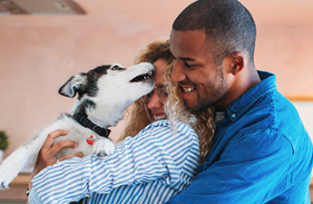 a couple embrace while also hugging their black and white dog who is licking them