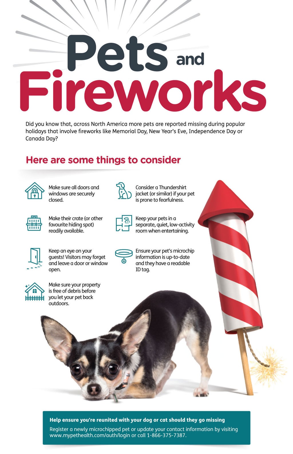 24Petwatch Canada Fireworks safety tips for pets