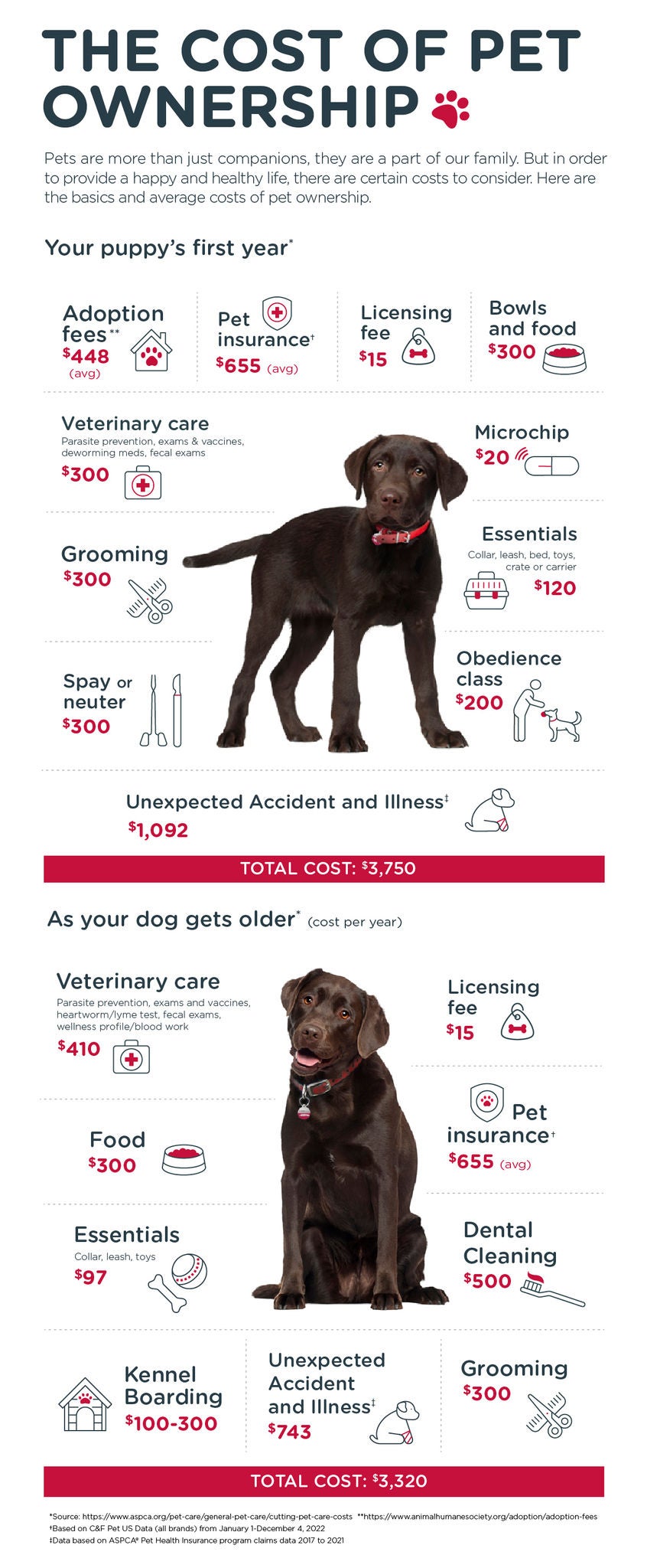 Cost of Dog Ownership Statistics 2024