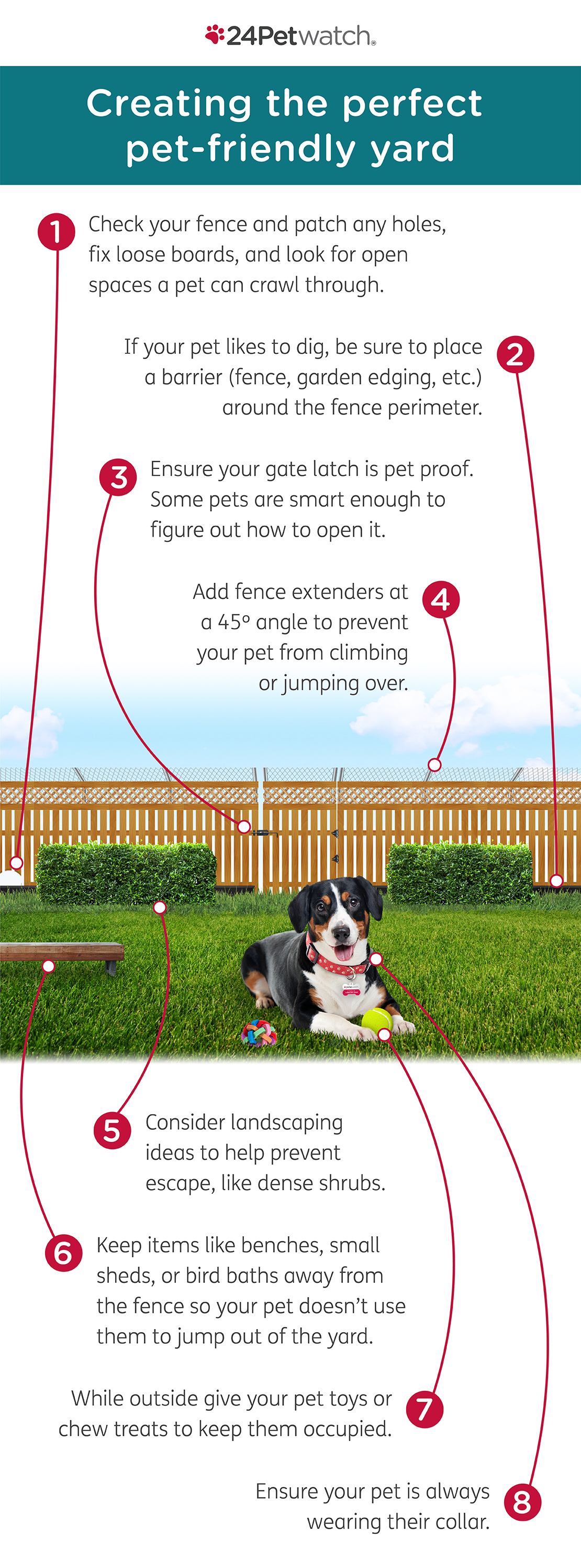 24Petwatch: Top 7 exercises your dog should be doing