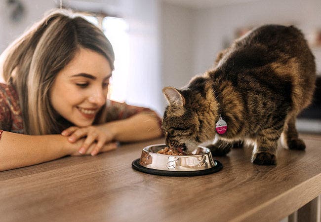 cat food high in omega-3 and 6