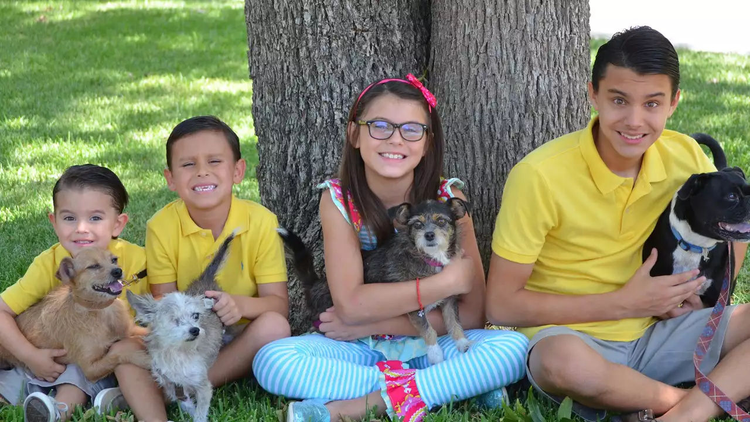 family with dogs