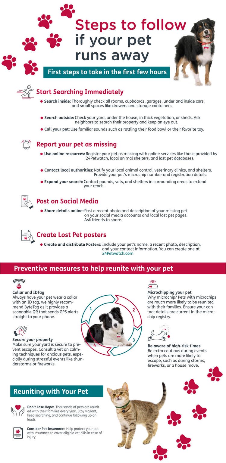 24PW_What-to-do-if-pet-runs-away_Infographic.jpg