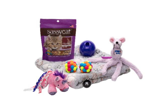 Cat PawPack - Grey blanket, treats, Kong toy, treat ball, plush toy, 2 balls and ByteTag