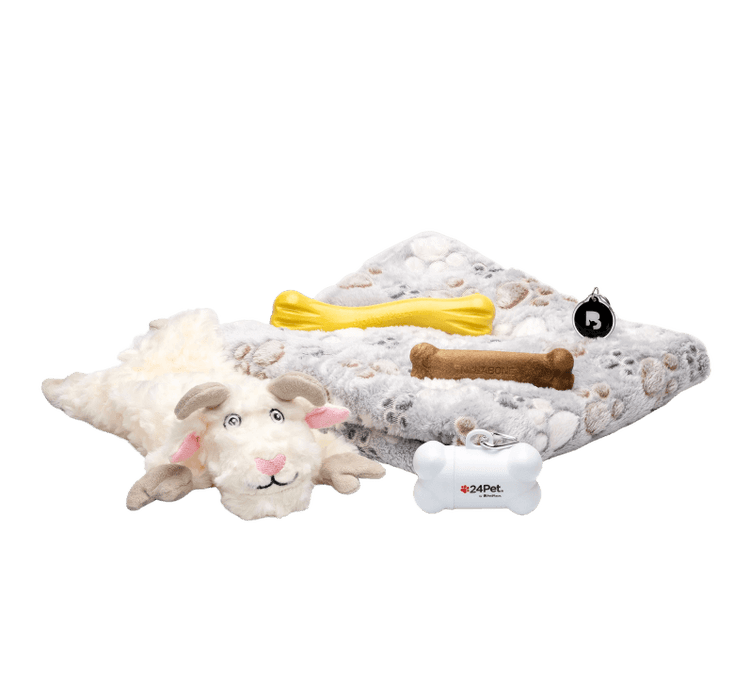 Dog PawPack – Grey blanket, Nylabone treat, waste bag dispenser, plush toy, bone and ByteTag